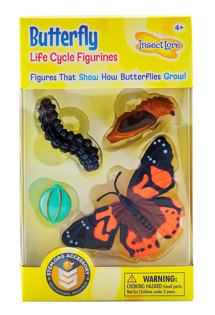 Ciclo da Vida da Borboleta Figuras - Insect Lore 
