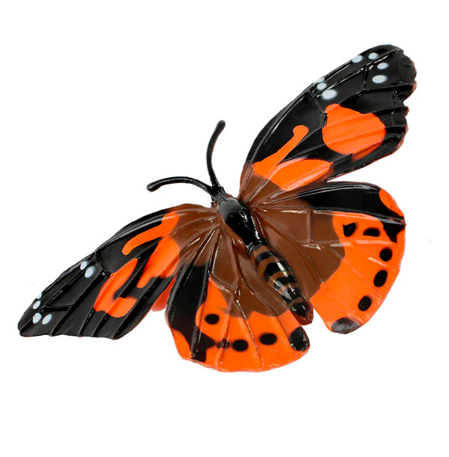 Ciclo da Vida da Borboleta Figuras - Insect Lore 