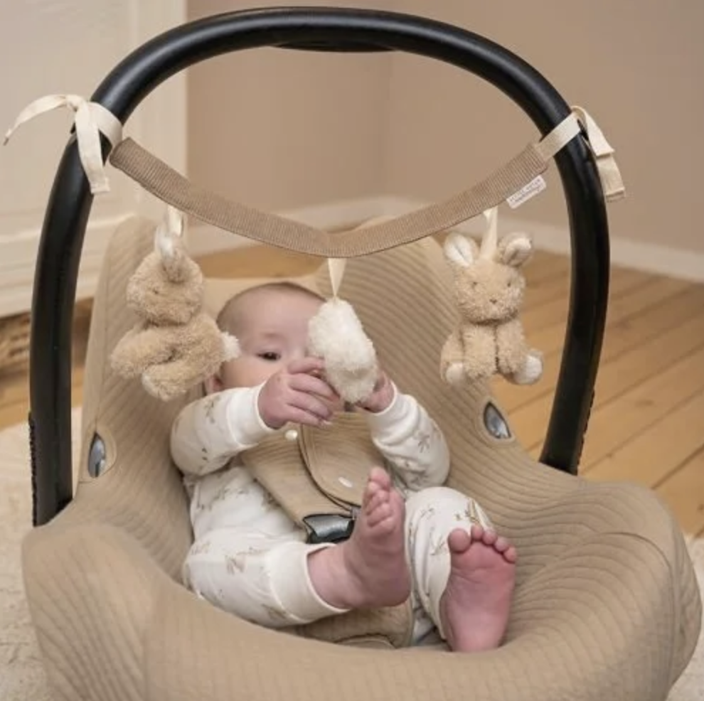  Grinalda de Atividades Baby Bunny - Little Dutch 