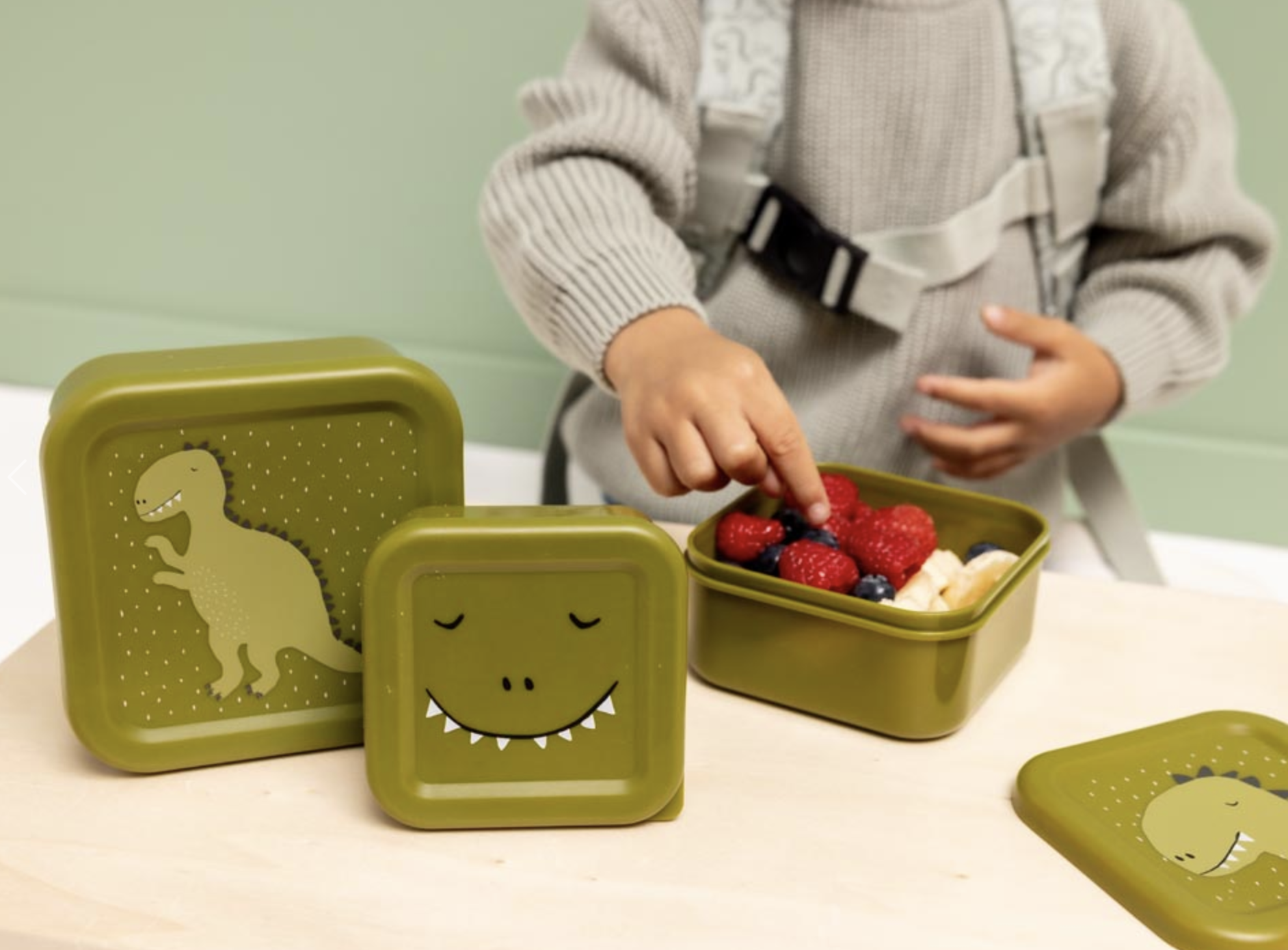 Mr. Dino Pack de 3 Caixas - Trixie 
