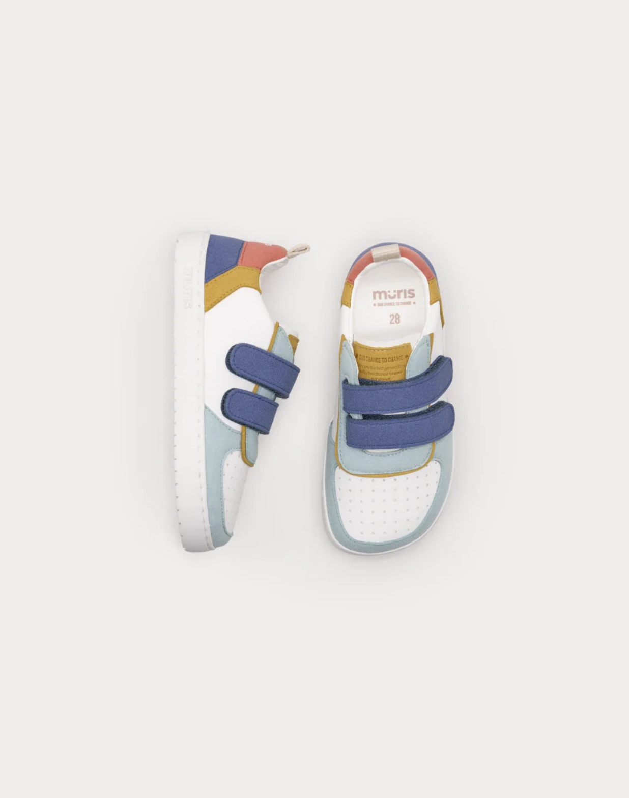  Muris Petra Junior Sky Blue - Aniversário Limited Edition 