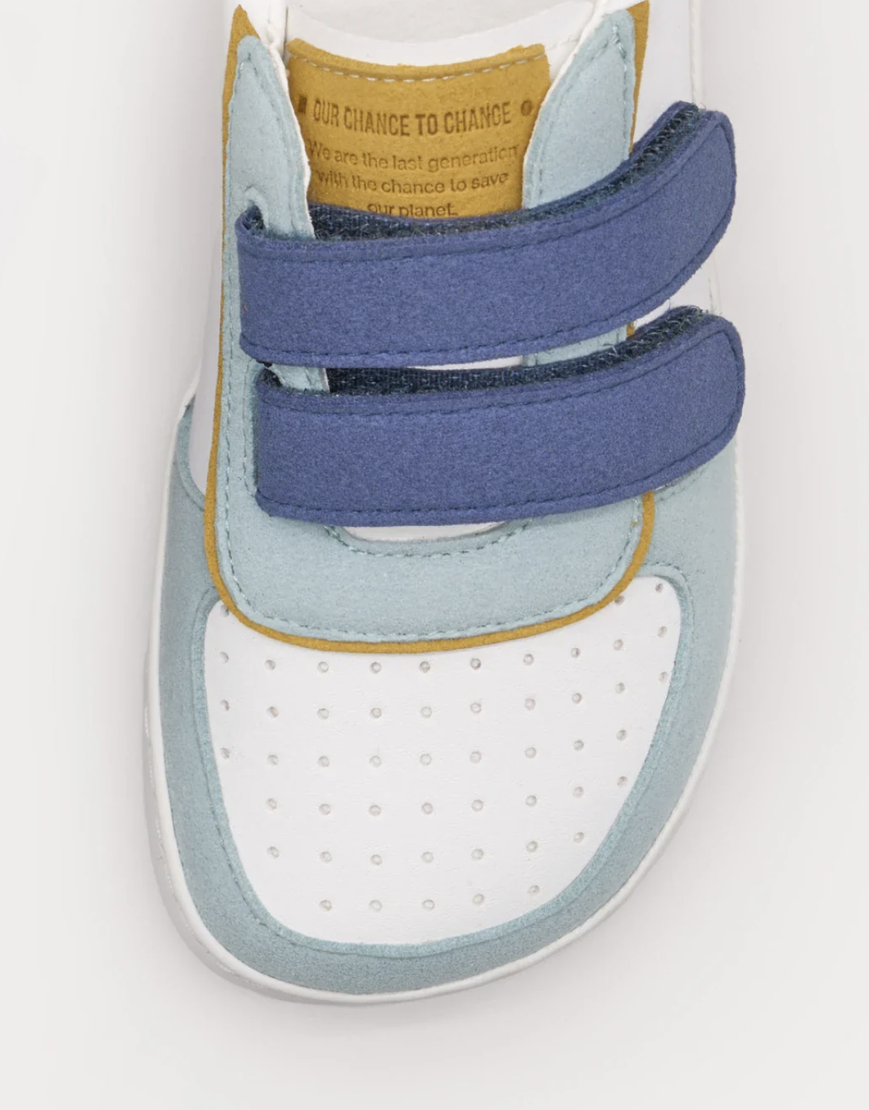  Muris Petra Junior Sky Blue - Aniversário Limited Edition 