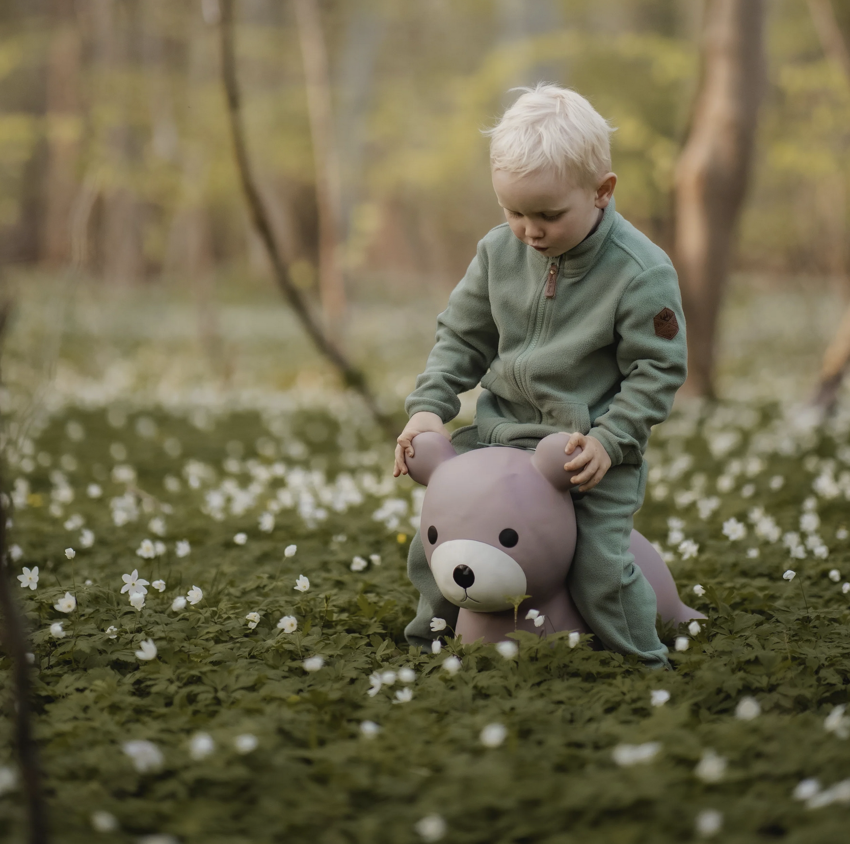 Animal Saltitão Maya the Bear - Find that Hippo