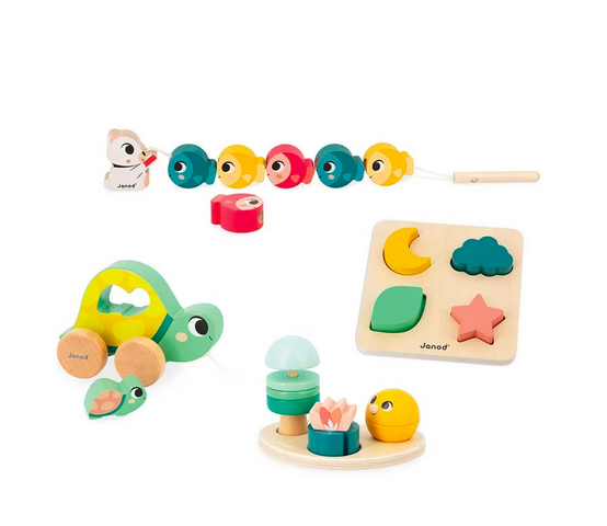 Caixa de Brinquedos 18 Meses - Janod