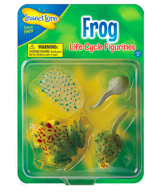 Ciclo da Vida do Sapo Figuras  - Insect Lore
