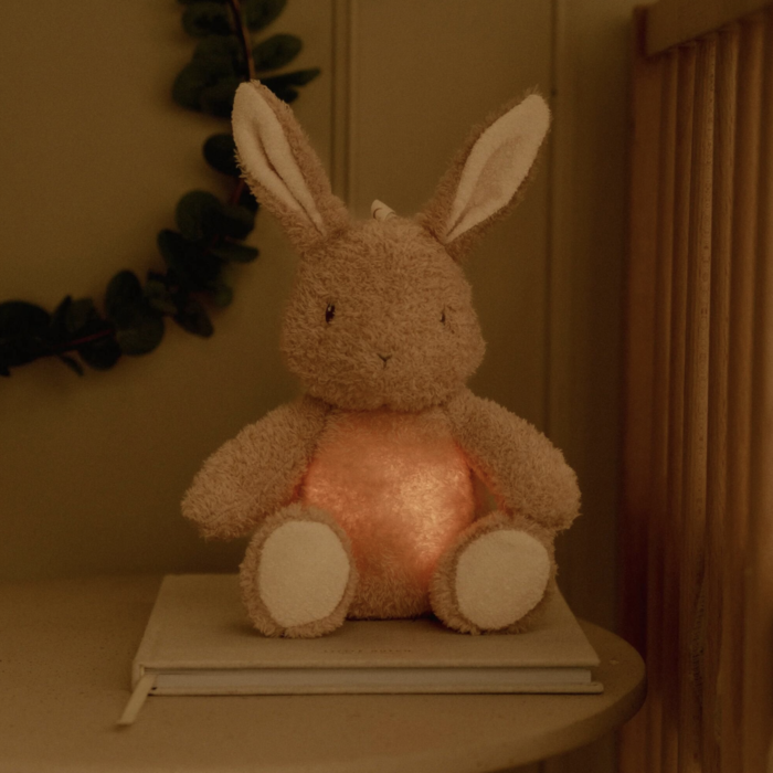 Cuddle Bunny com Luz e Som - Little Dtuch