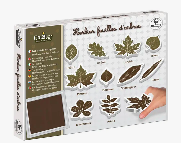 Herbário Folhas de Árvores 
