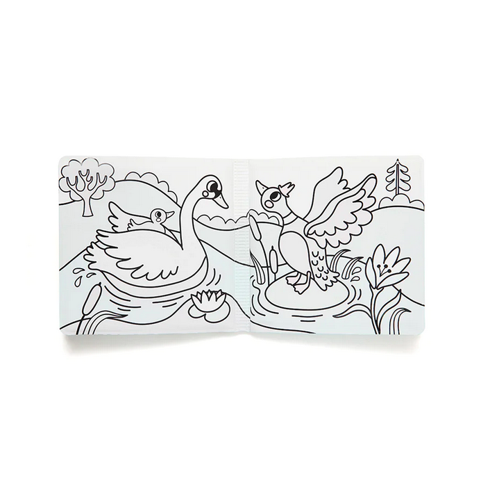 Livro Mágico de Banho Pássaros Splish Splash - Petit Monkey