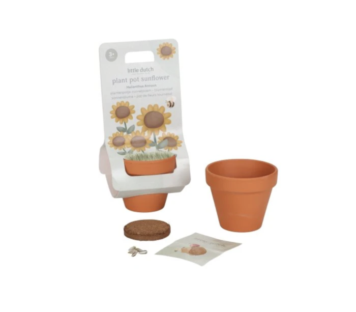 Planta e Vaso Girassol - Little Dutch