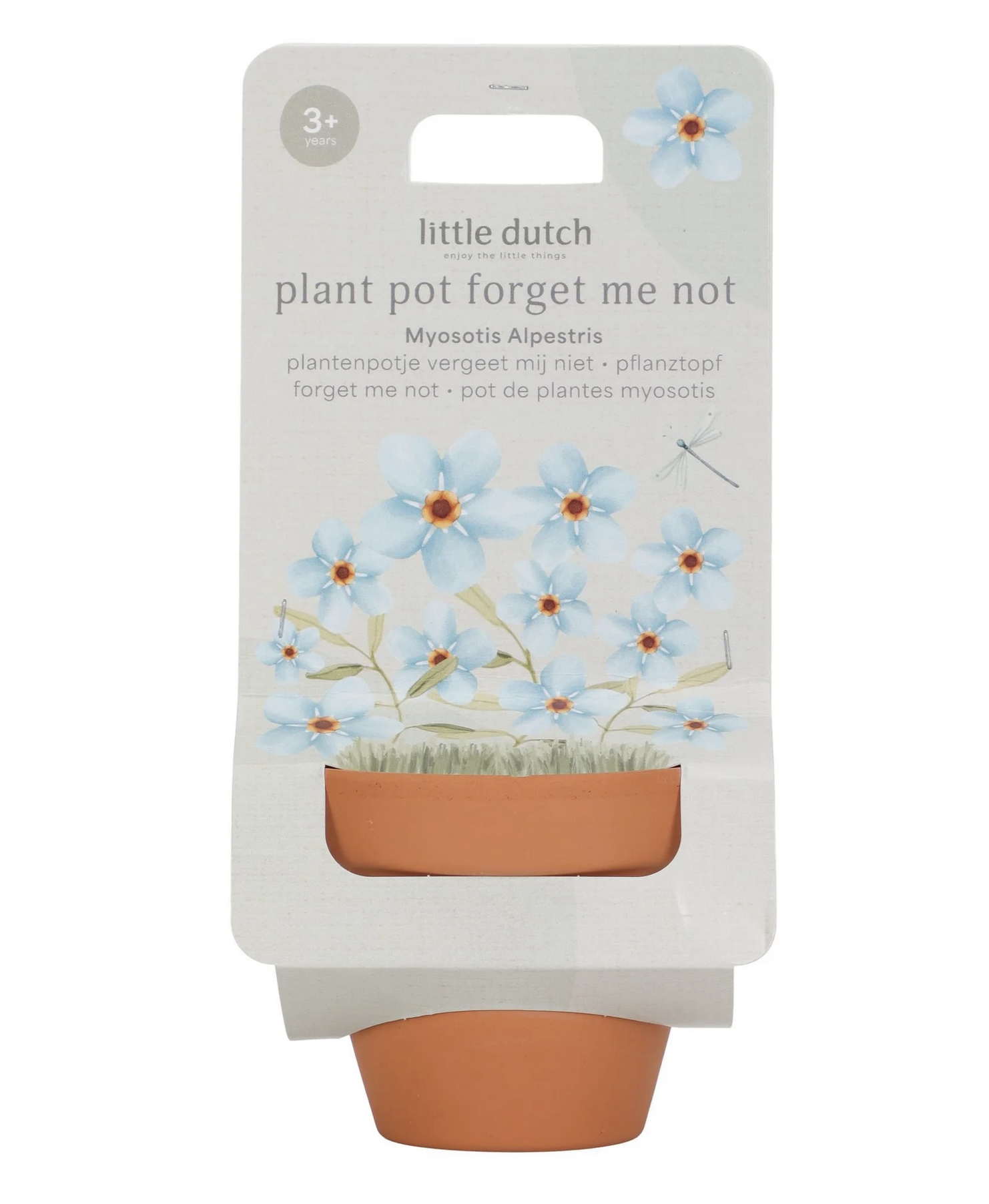 Planta e Vaso Não me Esqueças - Little Dutch