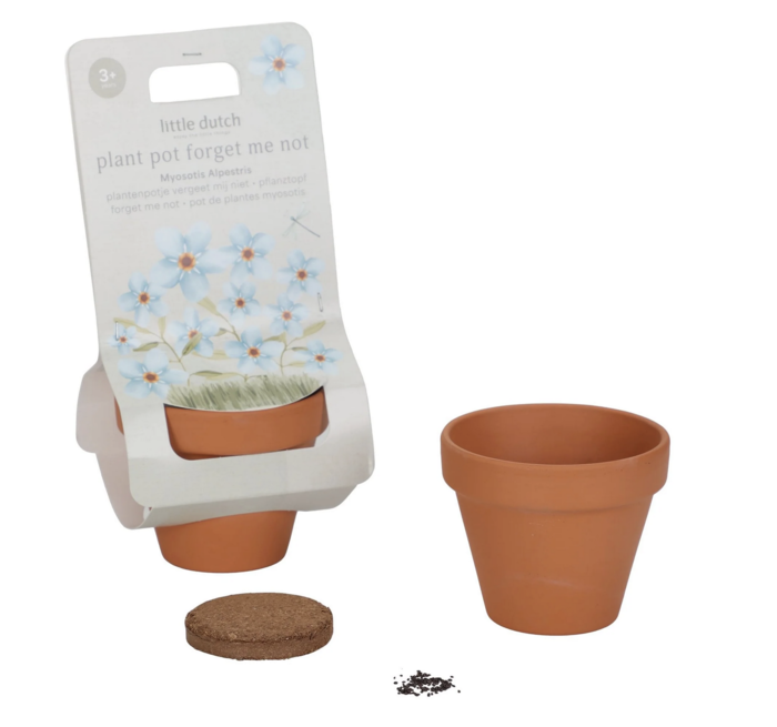 Planta e Vaso Não me Esqueças - Little Dutch