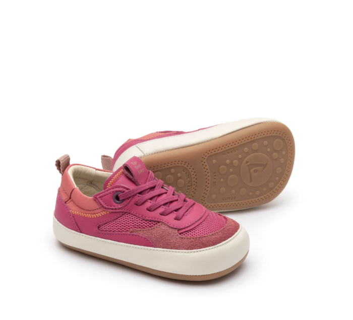  Setp Pink Pitaya, Up&Go - Tip Toey Joey 