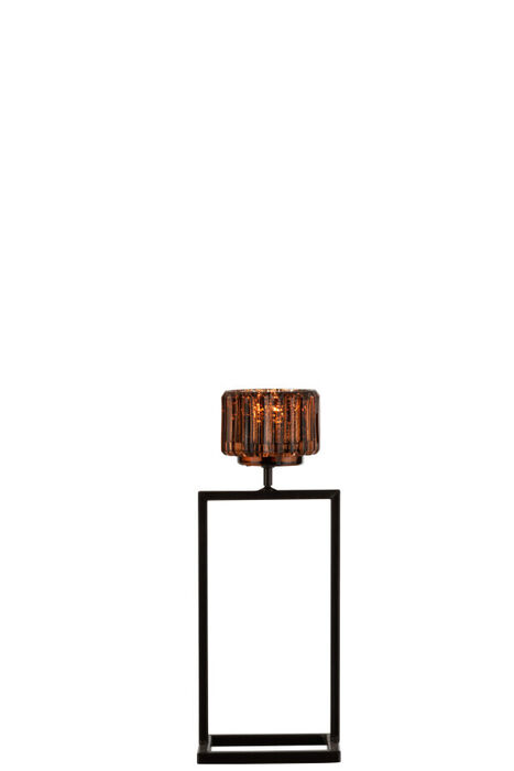 12930410036