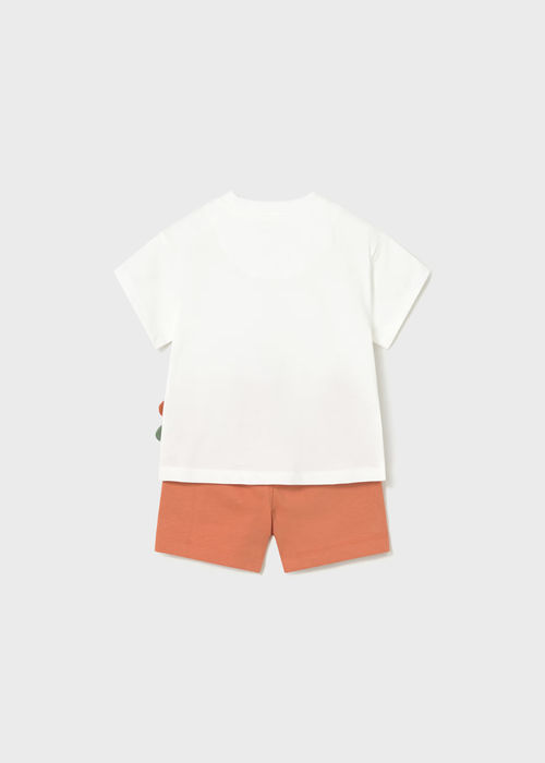 CONJUNTO MAYORAL 