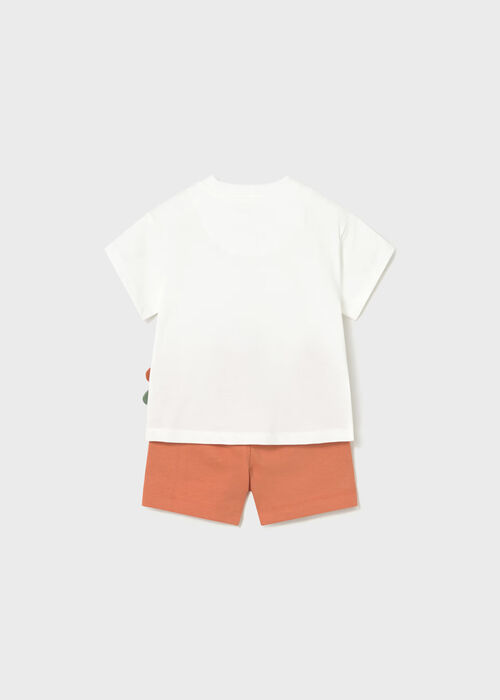 CONJUNTO MAYORAL 