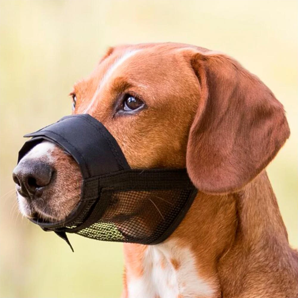 Açaime Ajustável com Rede em Nylon - JollyPaw