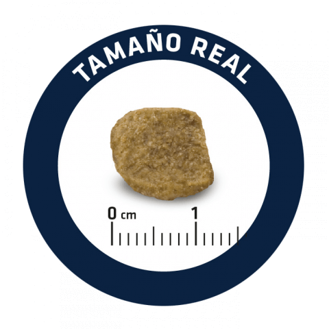 Advance Cão Sénior Maxi - Frango e Arroz 1