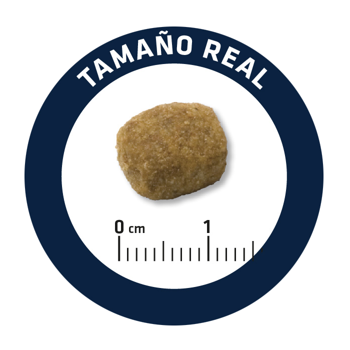 Advance Light Cão Medium Adulto - Frango e Arroz