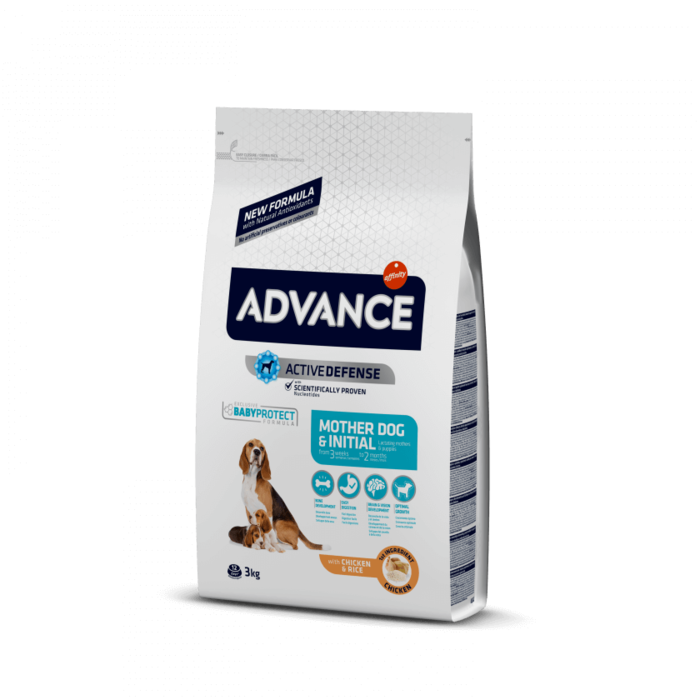 Advance Mother Dog & Initial - Frango e Arroz