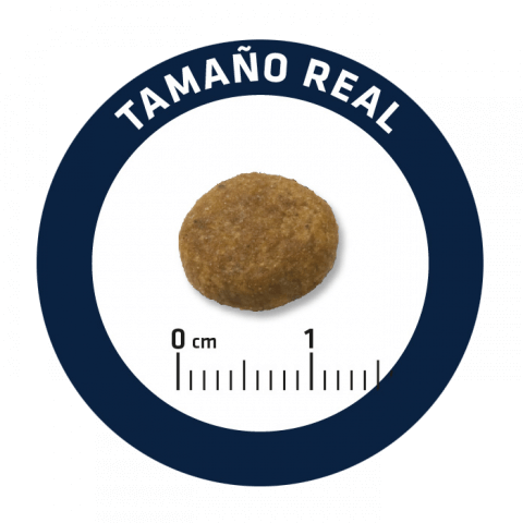 Advance Puppy Maxi - Frango e Arroz