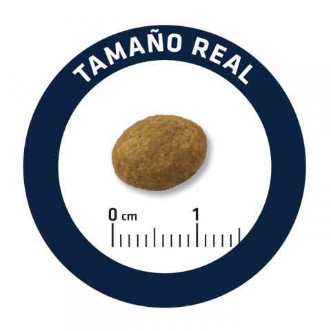 Advance Puppy Medium - Frango e Arroz
