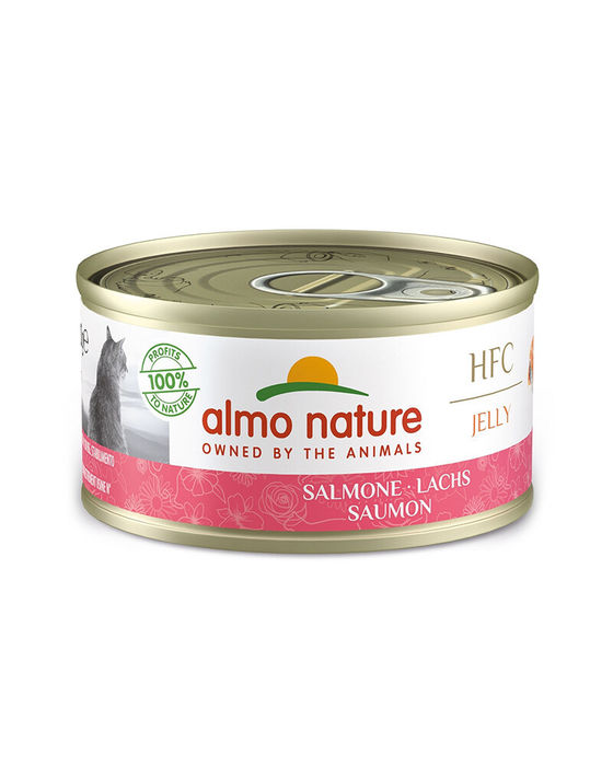 Almo Nature HFC Jelly Gato - Salmão