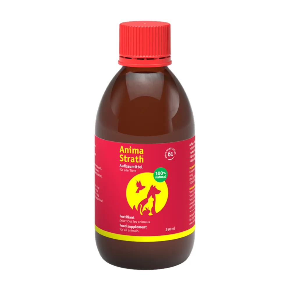 Anima-Strath - Suplemento Fortificante