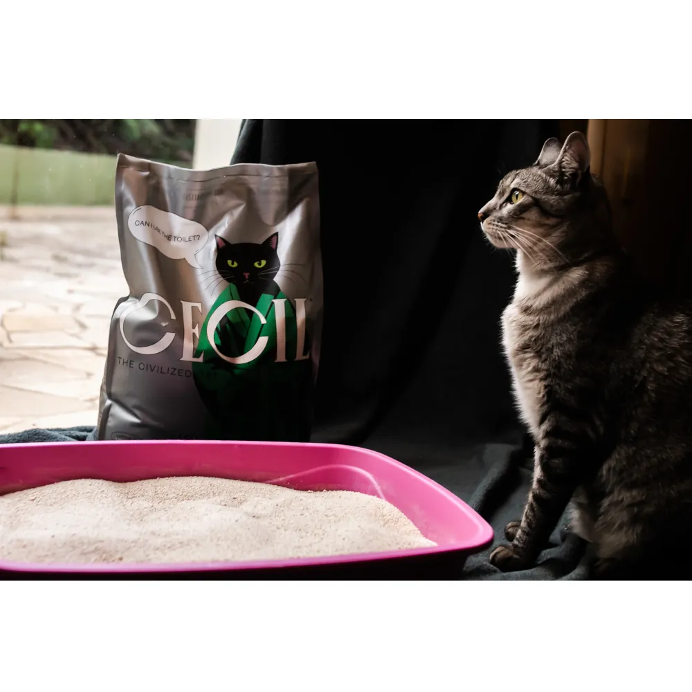 Areia de Mandioca Aglomerante e Biodegradável para Gatos - Cecil