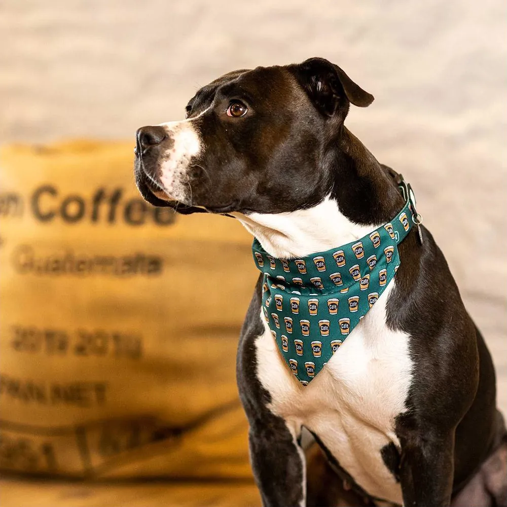 Bandana Coffee Break - Max & Molly