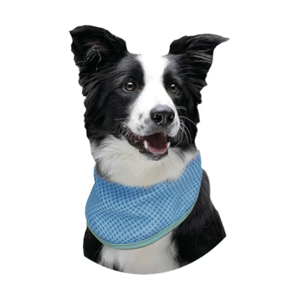 Bandana Refrescante - Freedog