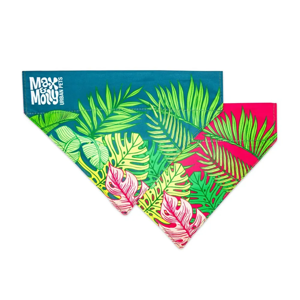 Bandana Tropical - Max & Molly
