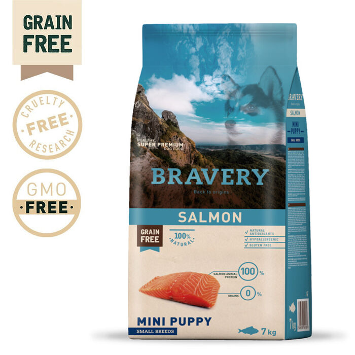 Bravery Cão Puppy Mini-Pequeno - Salmão