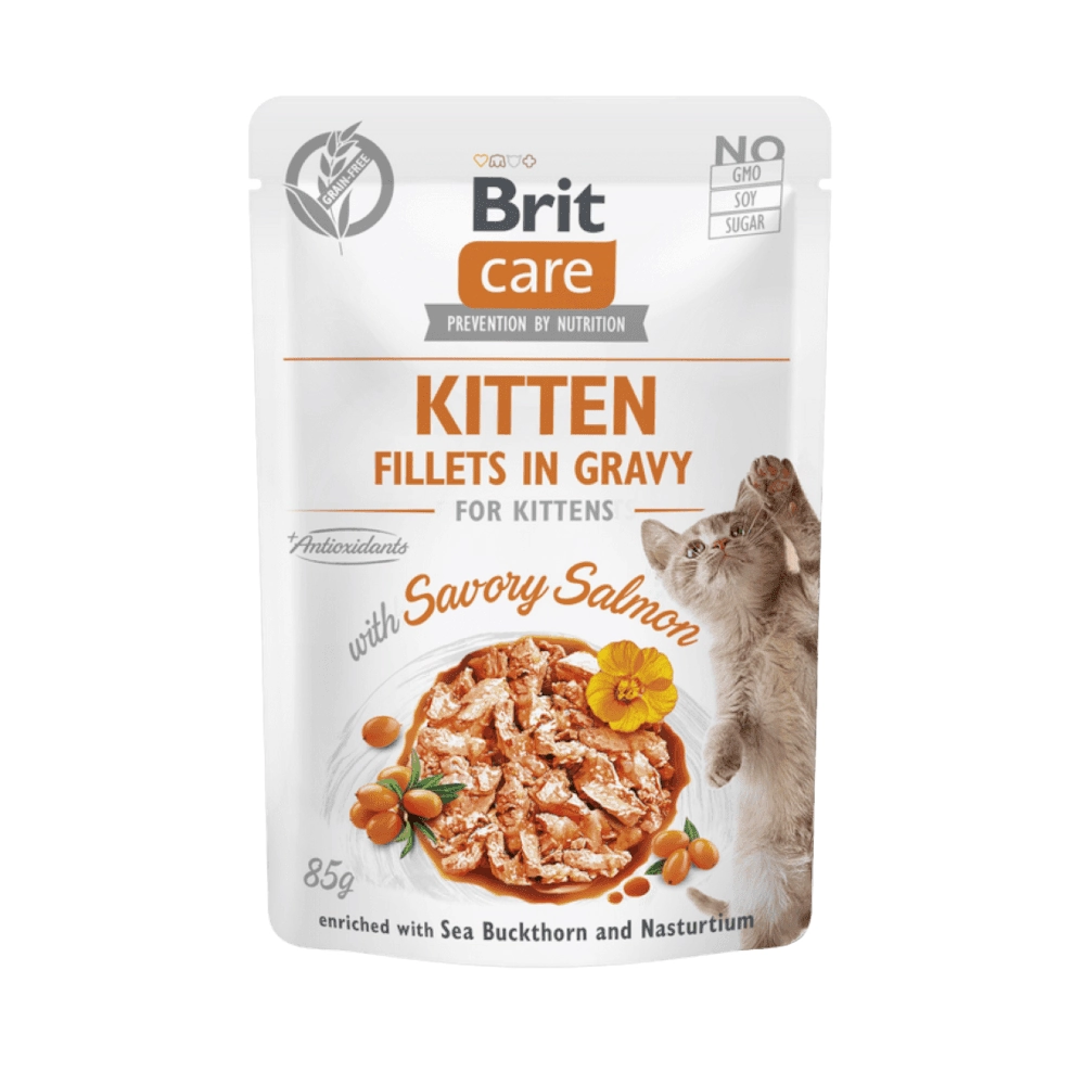 Brit Care Cat Kitten Fillets in Gravy with Savory Salmon
