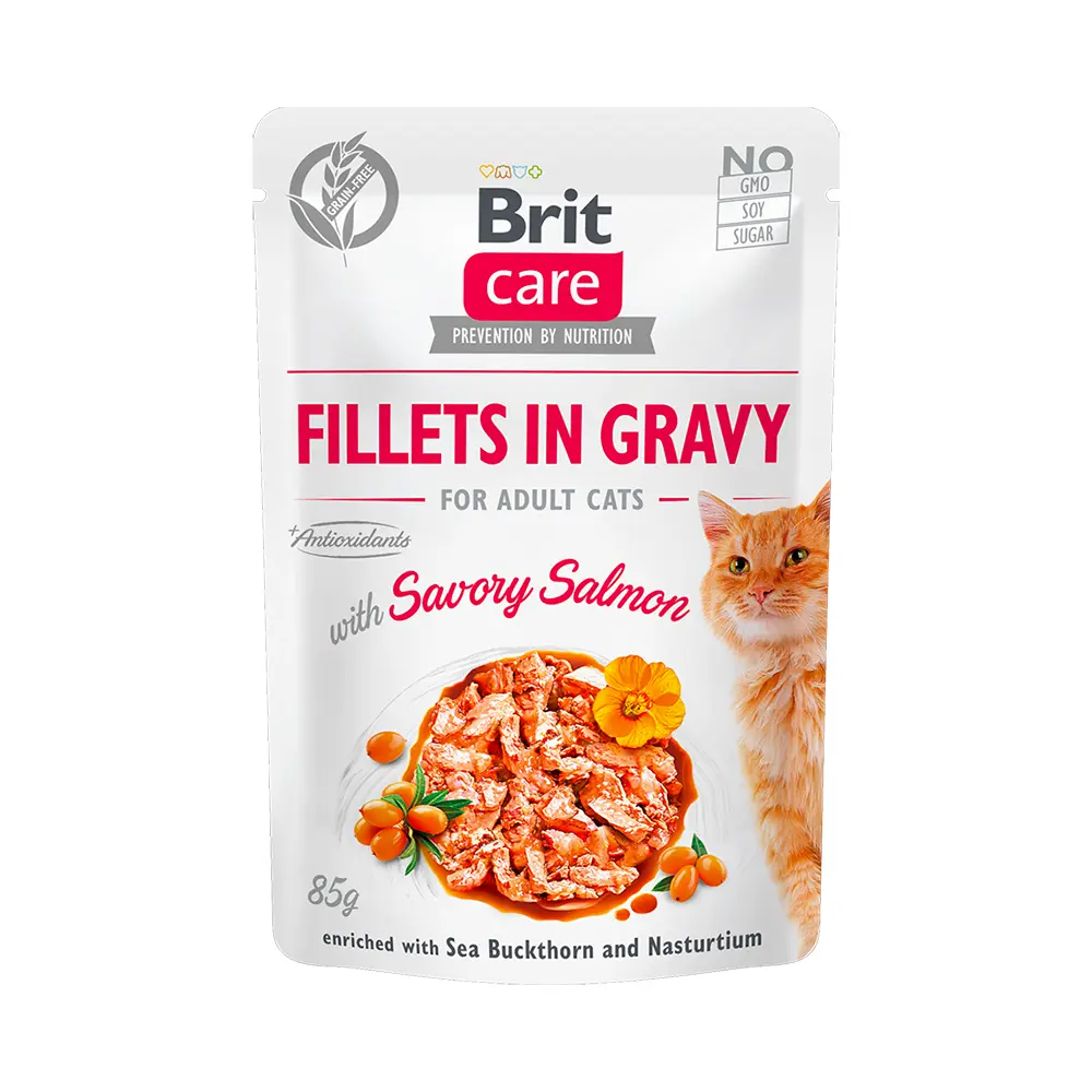 Brit Care Cat Savory Salmon in Gravy