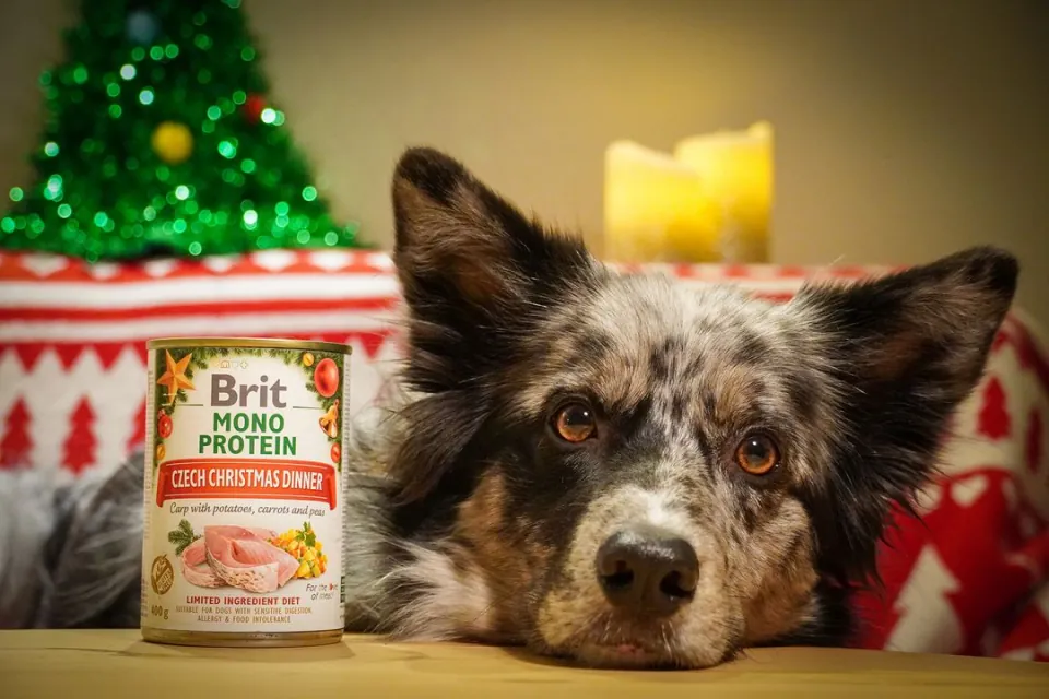 Brit Care Dog Mono Protein Christmas