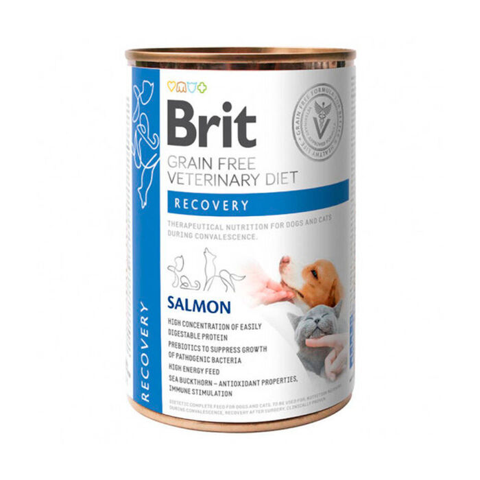 Brit Veterinary Diet Dog & Cat Recovery Grain-Free Salmon