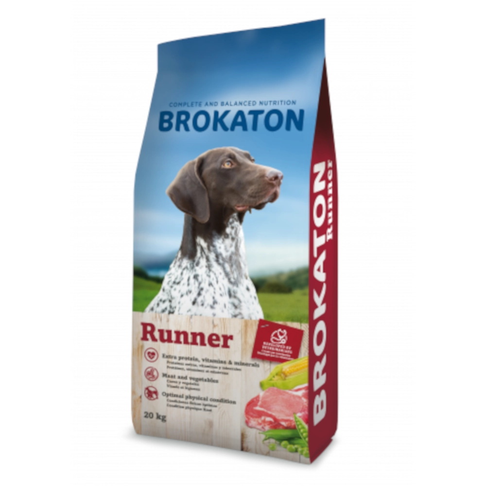Brokaton Runner Dog