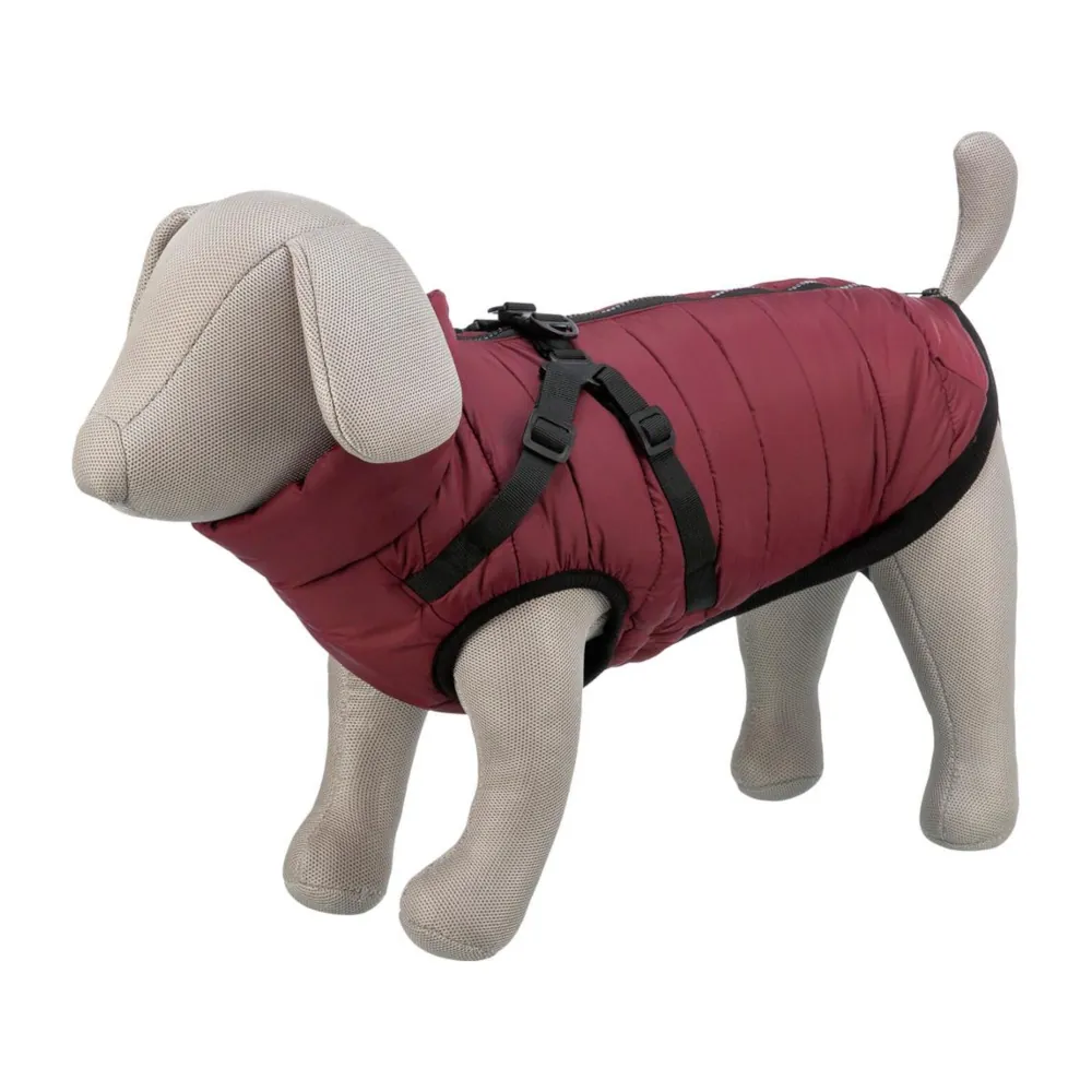 Capa Pirou com Peitoral para Cães - Trixie