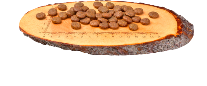 Carnilove Grain-Free Cão Adulto - Carpa e Truta