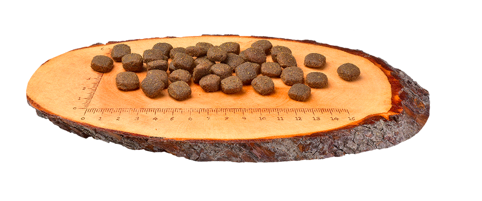 Carnilove Grain-Free Cão Adulto - Cordeiro e Javali 1