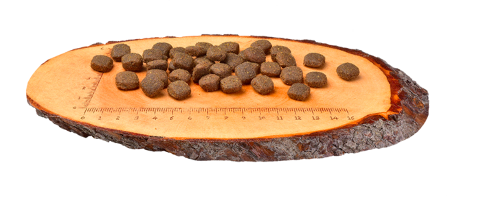 Carnilove Grain-Free Cão Adulto - Cordeiro e Javali