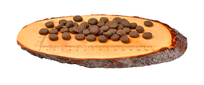 Carnilove Grain-Free Cão Adulto - Rena