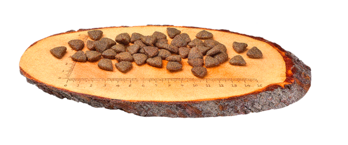 Carnilove Grain-Free Cão Adulto - Salmão