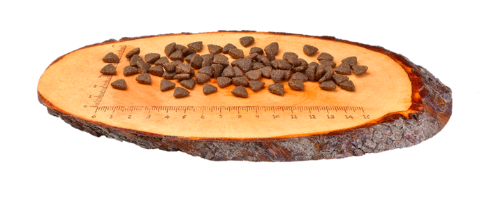 Carnilove Grain-Free Gato Adulto Energy & Outdoor Reindeer