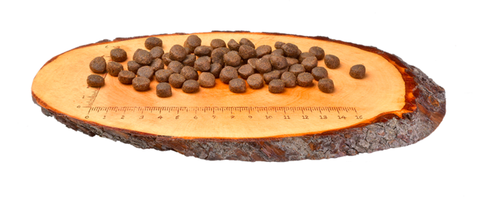 Carnilove Grain-Free Gato Adulto Raças Grandes - Pato e Perú