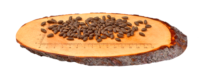 Carnilove Grain-Free Gato Adulto Sensitive & Long Hair - Salmão