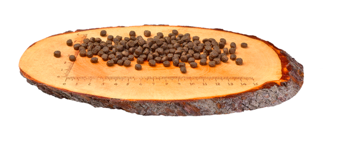 Carnilove Grain-Free Kitten Healthy Growth - Salmão e Perú