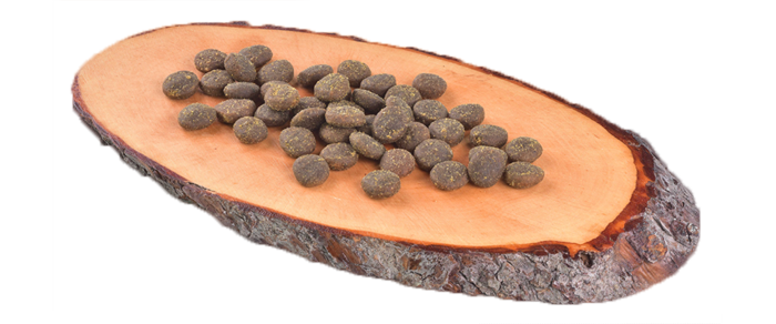 Carnilove Grain-Free True Fresh Cão Adulto - Peixe