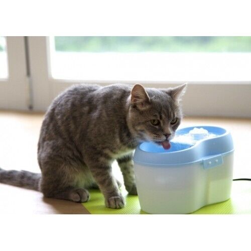 Cat H2O - Fonte de Água 2 LT