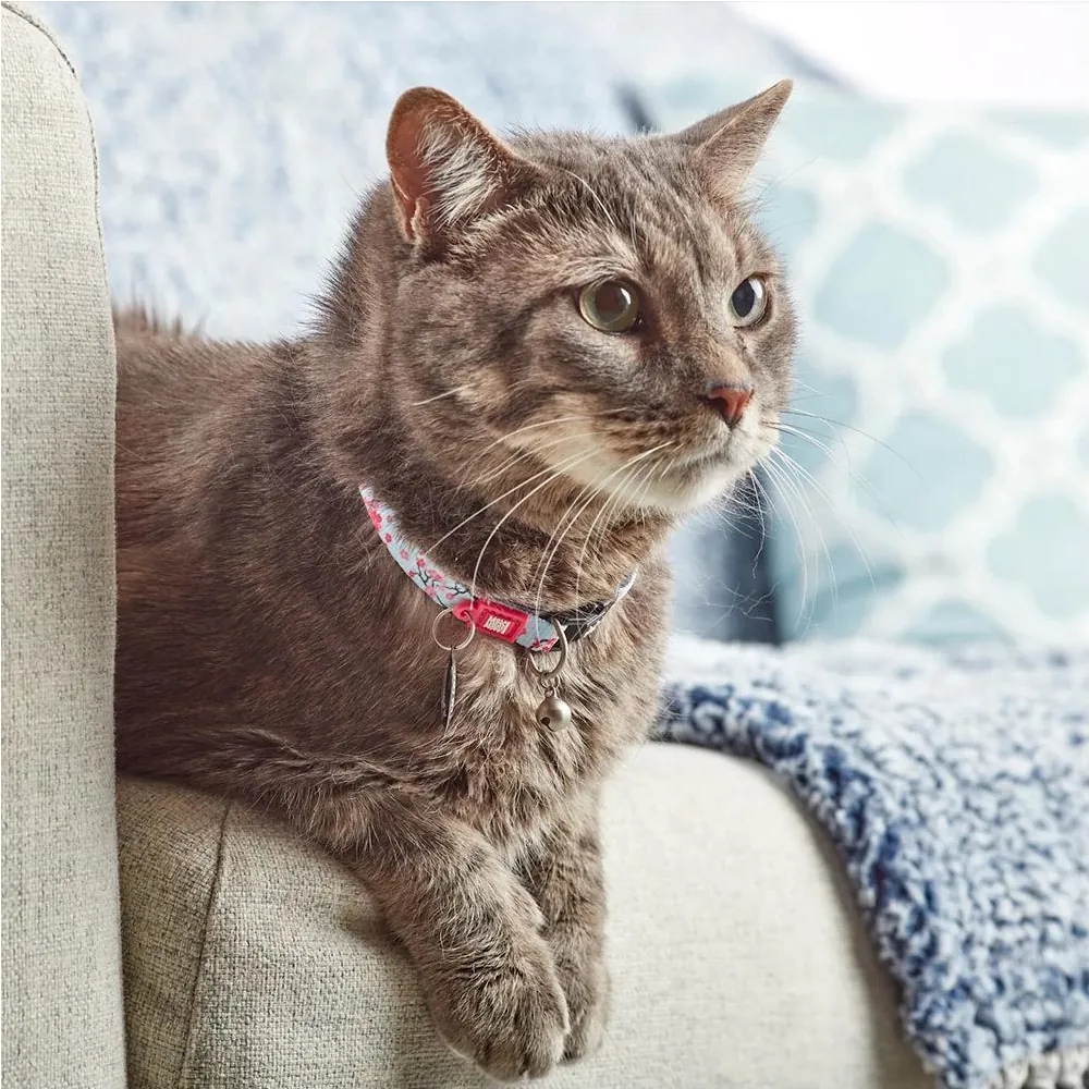 Coleira Cherry Bloom com ID Tag para Gatos - Max & Molly